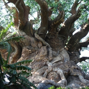 Tree of Life Detail