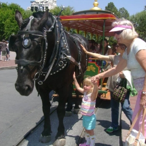 Horse and Trolley