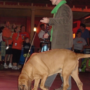Gravedigger and Hound from Boo To You