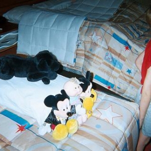 mousekeeping