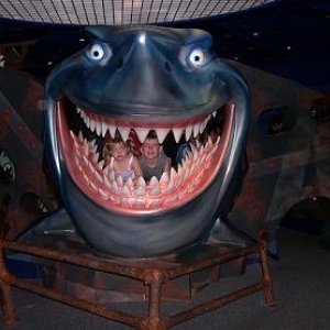 shark