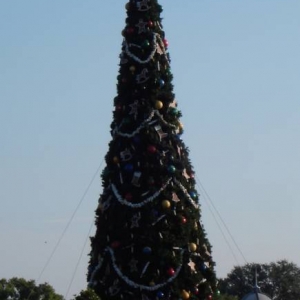 Magic Kingdom Christmas Tree 2006