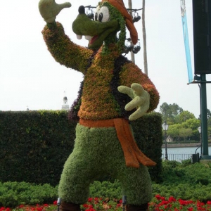 plutopirate