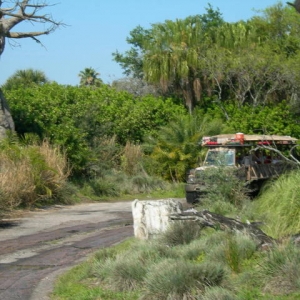 safari_bus