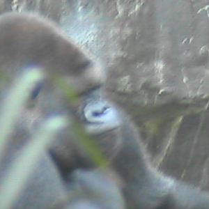 sep 2005