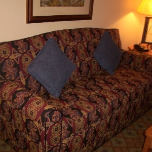 VWL - sleeper sofa
