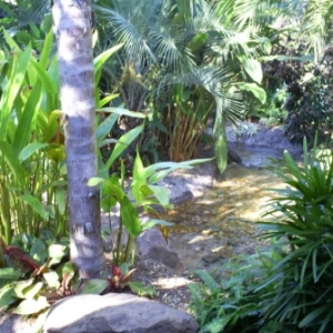 florida_260