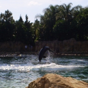florida_263