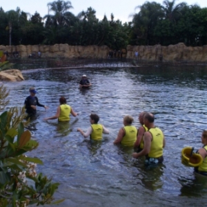 florida_270