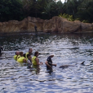 florida_274