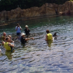 florida_279