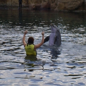 florida_282