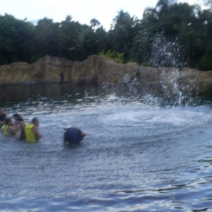 florida_289