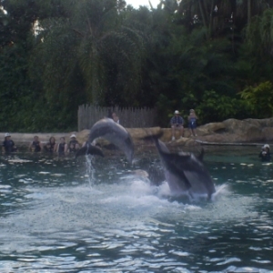 florida_291