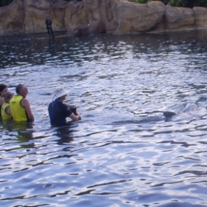 florida_292