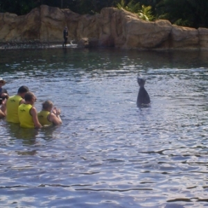 florida_293