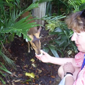 florida_302