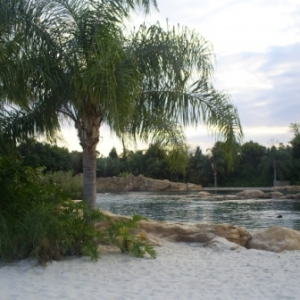florida_306