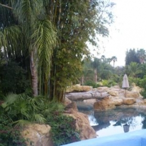 florida_326