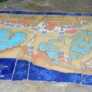 florida_327