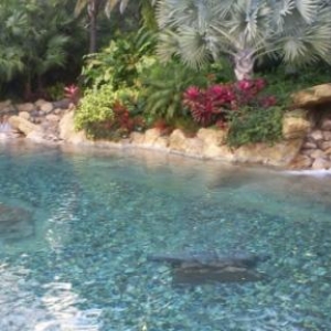 florida_329
