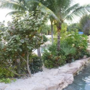 florida_330