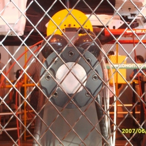 HiddenMickey4