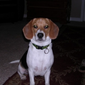 Grady4