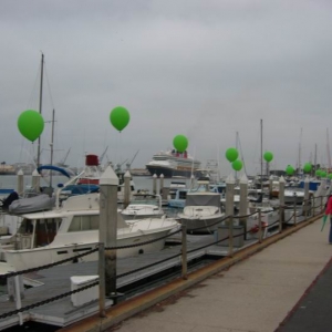 The Magic Arrives at San Pedro - 2005