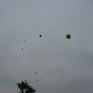 The Magic Arrives at San Pedro - 2005