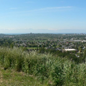 GOS/View of Victoria BC