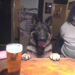 cerberus153