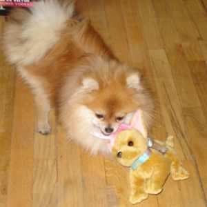 Princess_Playing