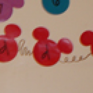 WeddingMickeys