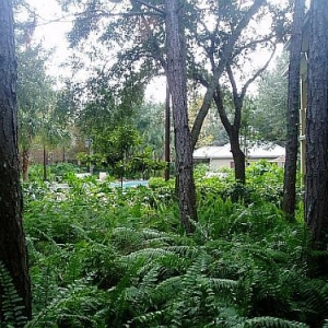Room_View