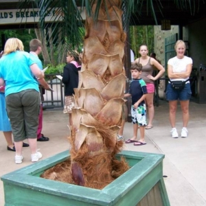 vacation07-380