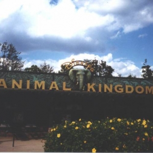 animal_kingdom_00d