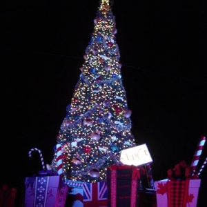 WDWChristmas2005_092_2