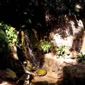 Picture_022