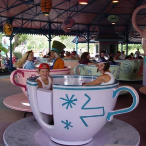 Tea Cups