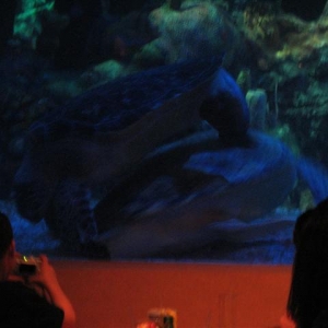 Disney3-07b_169_Small_