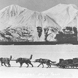 dogsled