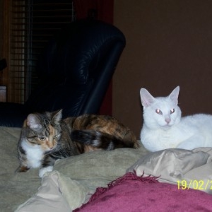 Deja & Cal
