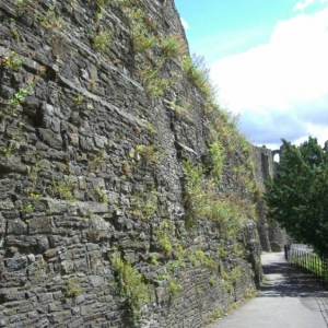 england33