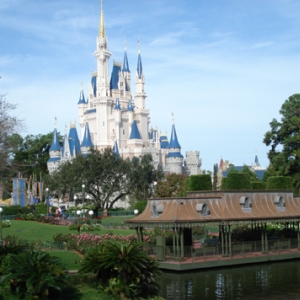 Castle & Swan Boat Platform