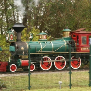 train