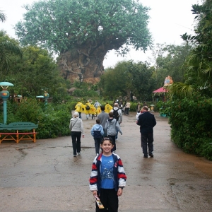 bryan tree