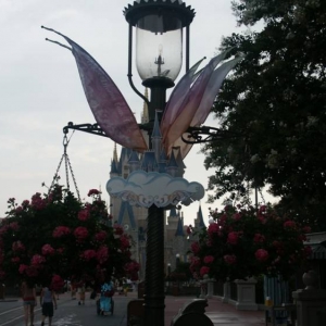 PICT03291