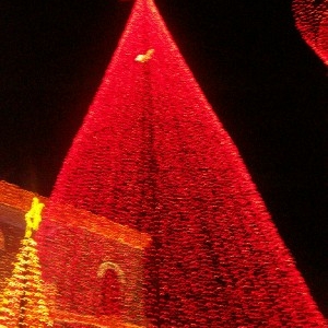 OSB_lights_web