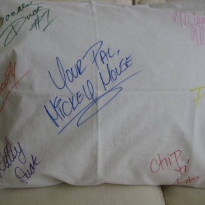pillow2